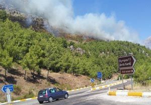 Kemer yolunda orman yangını